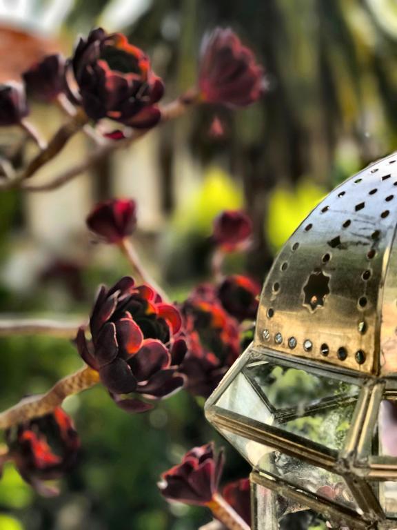 Bed & Breakfast Du Roc Fleuri 2*