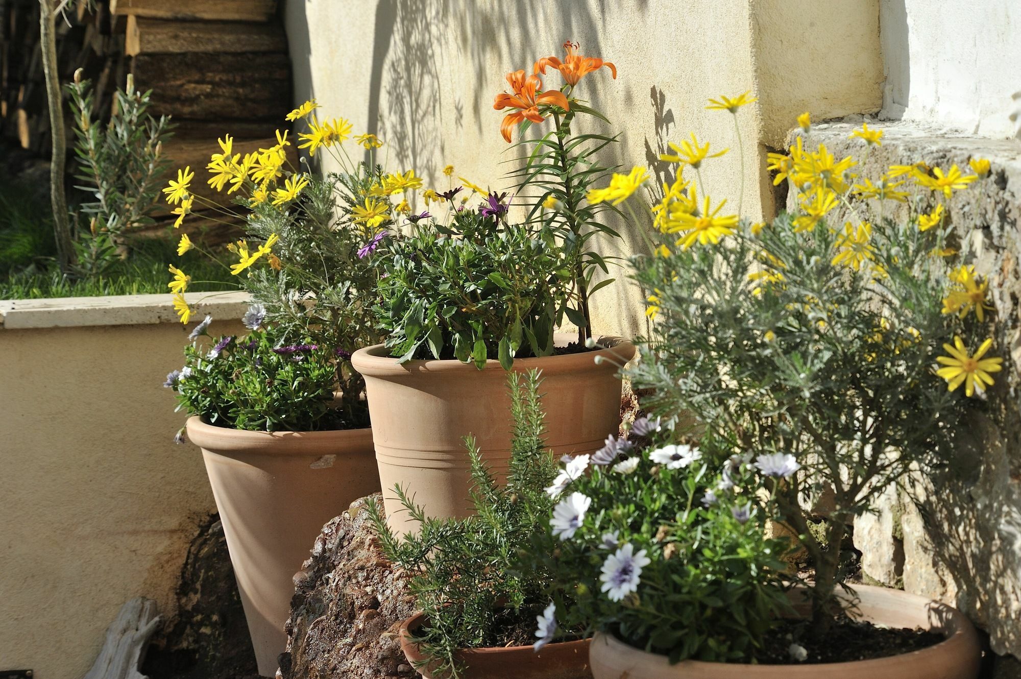Du Roc Fleuri Bed & Breakfast 2*